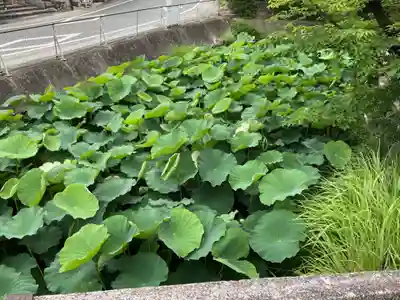 笠覆寺 (笠寺観音)(愛知県)