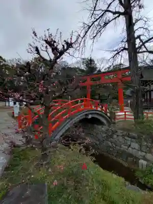 賀茂御祖神社（下鴨神社）(京都府)