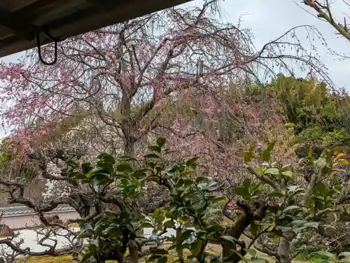 正法寺(京都府)