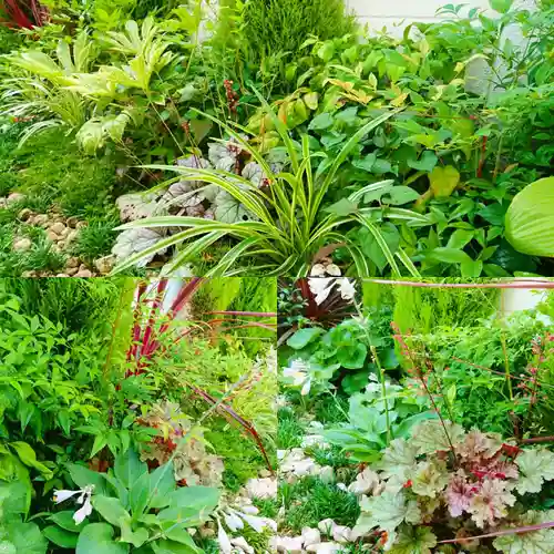 寿量山　速成寺の庭園