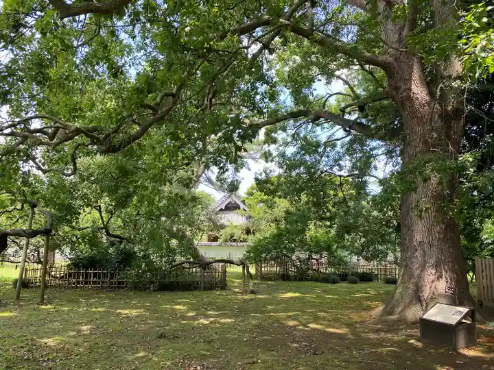弘道館鹿島神社(茨城県)