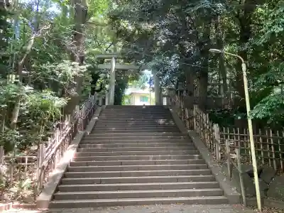 渋谷氷川神社の{uncategorized: "未分類", other: "その他", undefined: "問題あり", building: "その他建物", grave: "お墓", sacred_gate: "鳥居", guardian: "狛犬", statue: "像", buddha: "仏像", history: "歴史", nature: "自然", garden: "庭園", animal: "動物", pagoda: "塔", temizu: "手水舎", mountain_gate: "山門・神門", sanctuary: "本殿・本堂", subordinate: "末社・摂社", art: "芸術", scenery: "景色", jizo: "地蔵", ema: "絵馬", goshuin: "御朱印", omikuji: "おみくじ", items: "授与品その他", amulet: "お守り", goshuincho: "御朱印帳", eats: "食事", festival: "お祭り", votive_dance: "神楽", shichigosan: "七五三参", wedding: "結婚式", experience: "体験その他", initially: "初詣", around: "周辺", anti_infection: "感染症対策"}