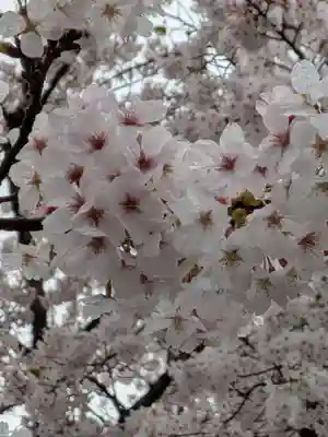 宝仙寺(東京都)
