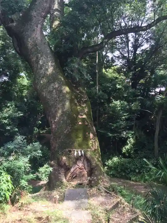 奈良豆比古神社の自然