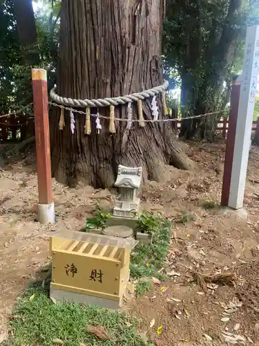 麻賀多神社奥宮(千葉県)