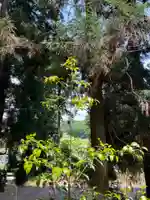 大宮温泉神社(栃木県)