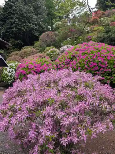 等覚院(神奈川県)