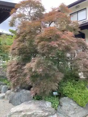 総持院(神奈川県)