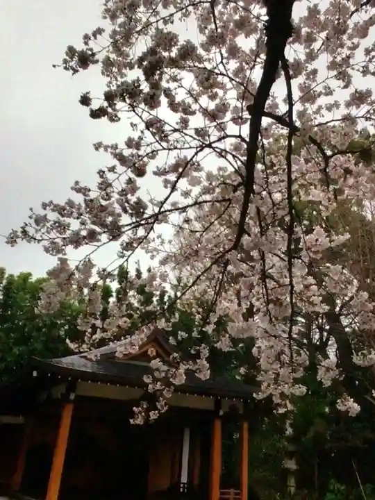 阿佐ヶ谷神明宮(東京都)