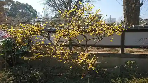 上野東照宮の景色