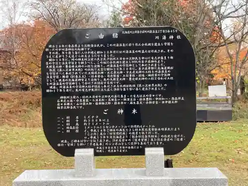 川湯神社(北海道)