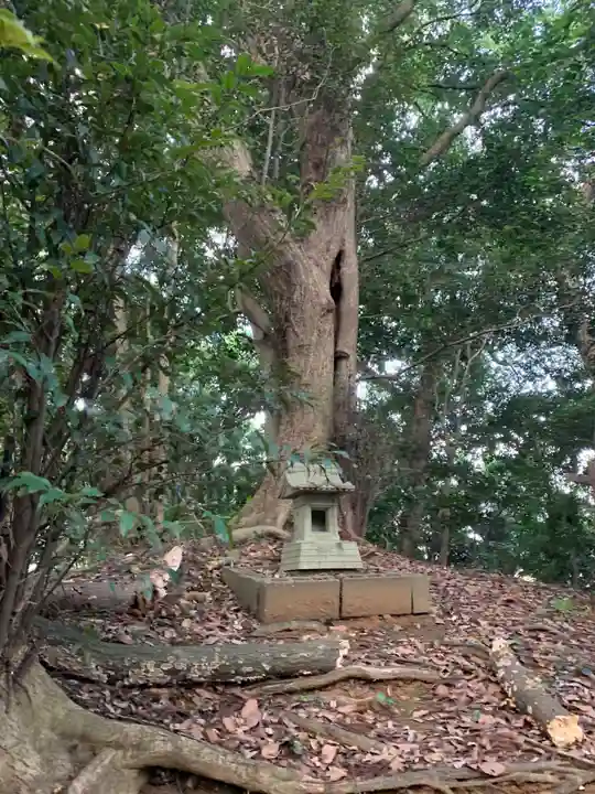 稲荷神社・疱瘡神社(千葉県)