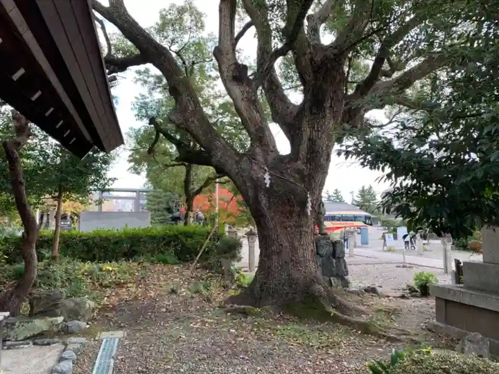 滋賀県護国神社の自然
