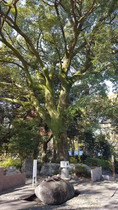 岐阜護國神社の手水舎