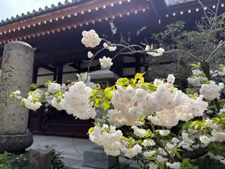 浜本山 源光寺の{uncategorized: "未分類", other: "その他", undefined: "問題あり", building: "その他建物", grave: "お墓", sacred_gate: "鳥居", guardian: "狛犬", statue: "像", buddha: "仏像", history: "歴史", nature: "自然", garden: "庭園", animal: "動物", pagoda: "塔", temizu: "手水舎", mountain_gate: "山門・神門", sanctuary: "本殿・本堂", subordinate: "末社・摂社", art: "芸術", scenery: "景色", jizo: "地蔵", ema: "絵馬", goshuin: "御朱印", omikuji: "おみくじ", items: "授与品その他", amulet: "お守り", goshuincho: "御朱印帳", eats: "食事", festival: "お祭り", votive_dance: "神楽", shichigosan: "七五三参", wedding: "結婚式", experience: "体験その他", initially: "初詣", around: "周辺", anti_infection: "感染症対策"}