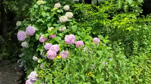 出雲大神宮(京都府)