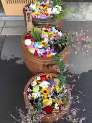 多賀神社の手水