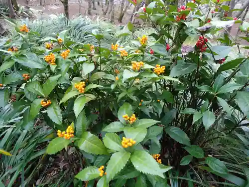 宝満宮竈門神社(福岡県)