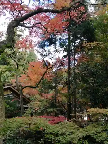 五所駒瀧神社の庭園