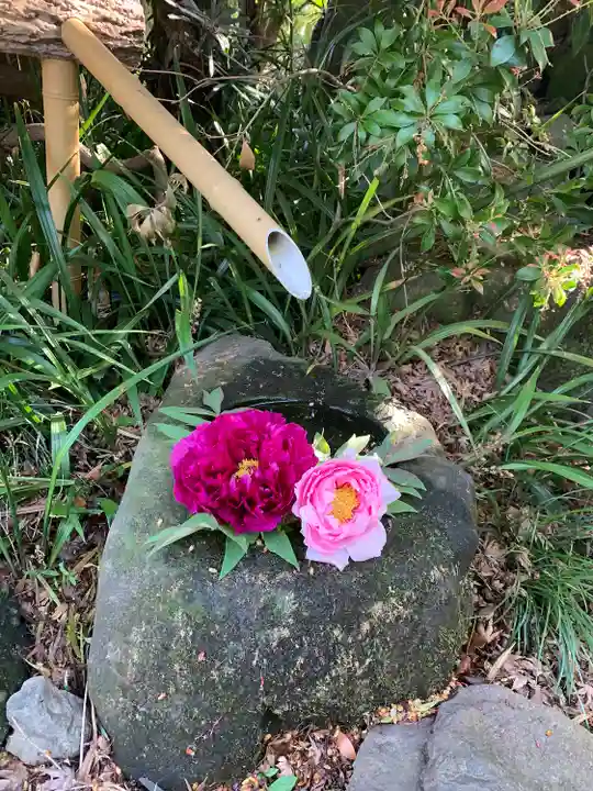 龍真寺(群馬県)