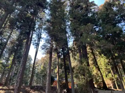 大宮温泉神社(栃木県)