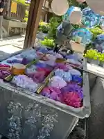 柳谷観音 楊谷寺(京都府)