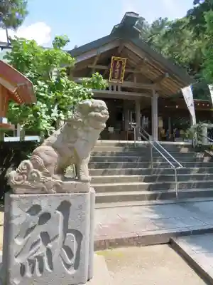 天津神明宮の狛犬