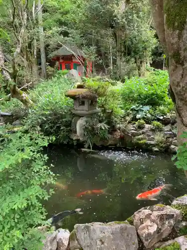 一條殿 新善光寺の庭園