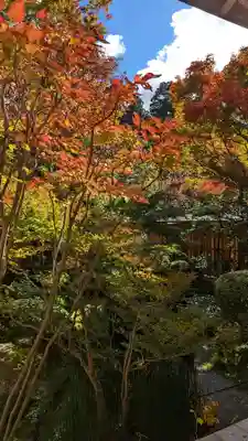 宝泉院(京都府)