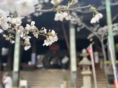 金剛宝寺（紀三井寺）(和歌山県)