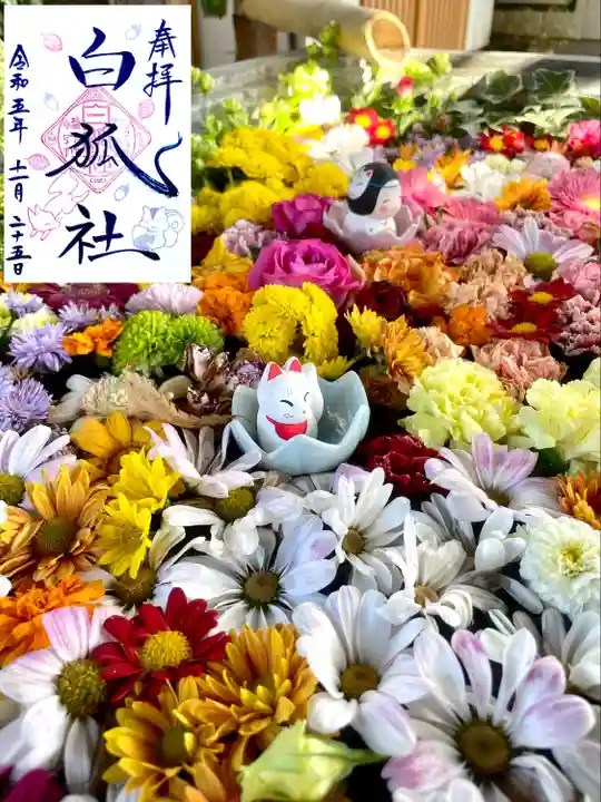 於菊稲荷神社の手水舎