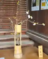 仁和寺(京都府)