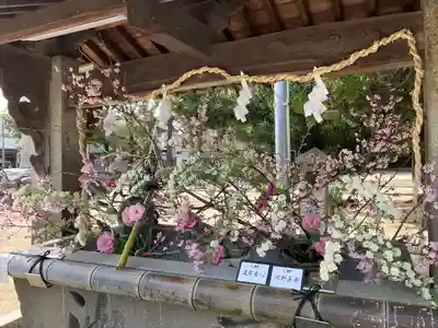三津厳島神社の手水舎