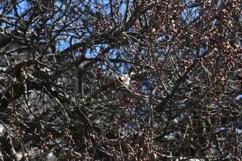 国宝 大法寺の自然