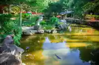 伊弉諾神宮(兵庫県)