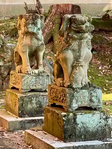 隨心院（随心院）の狛犬