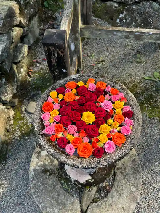 丹生都比売神社(和歌山県)