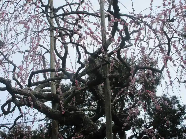 宝戒寺(神奈川県)