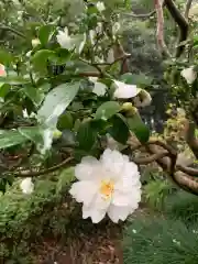 白鷺神社(栃木県)