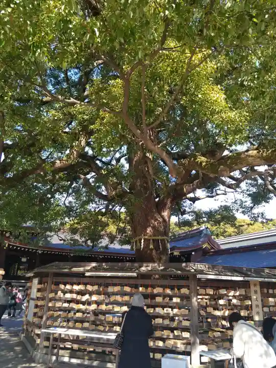 明治神宮(東京都)
