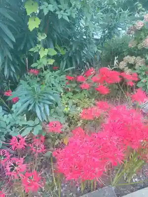 福寿院(東京都)