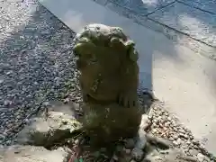 菊田神社の狛犬