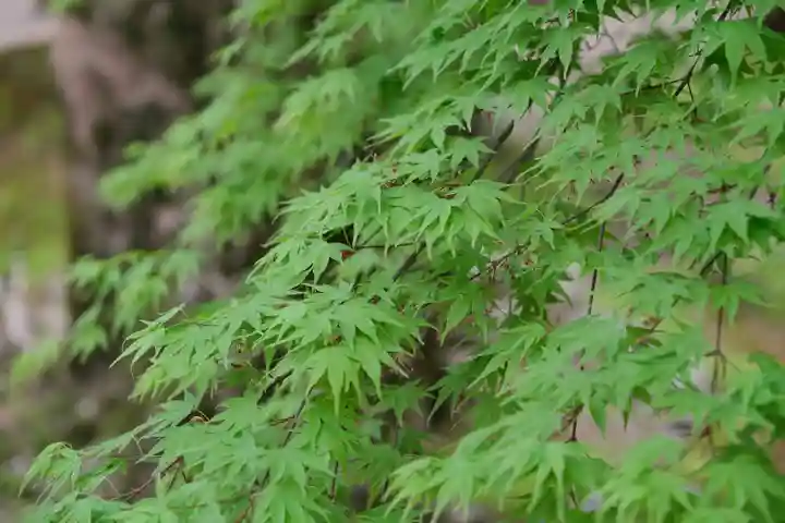室生寺(奈良県)