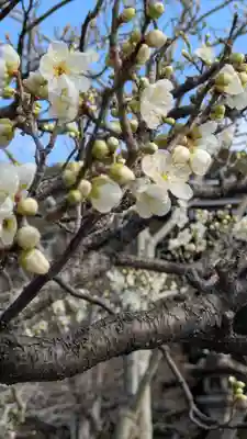  智積院(京都府)