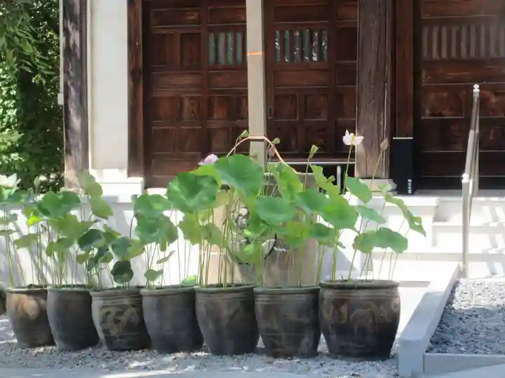 浄鏡寺(栃木県)