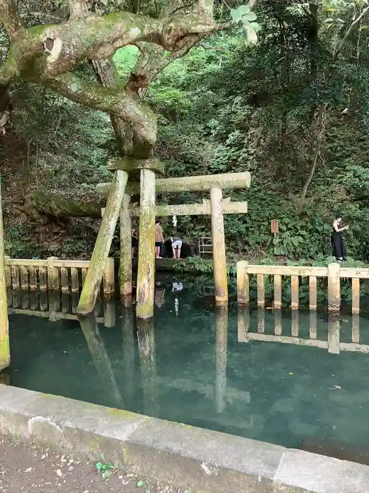 鹿島神宮(茨城県)