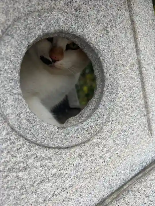 織幡神社(福岡県)