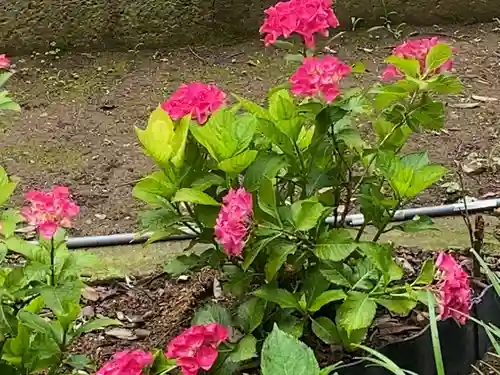 二本松寺の自然