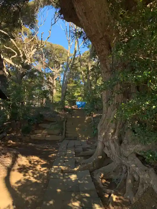坂月神社(千葉県)