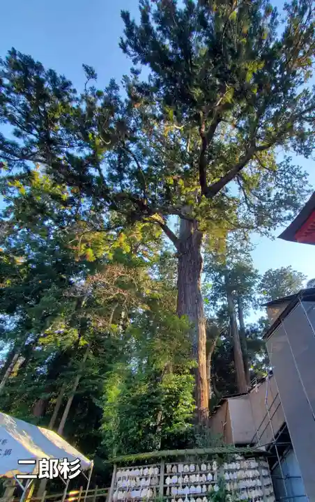 鹿島神宮の自然